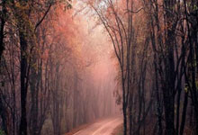 九游娱乐官网：颜欣慧在世锦赛第四次刷新全国破纪录.