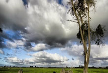 九游娱乐官网：第二届中尼友谊足球赛在加德满都举行2025-02-17.