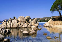 九游娱乐官网：日本教练：足球没有捷径，也没有特效药！.